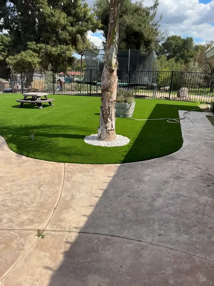 A green landscape with trees and surrounding paths